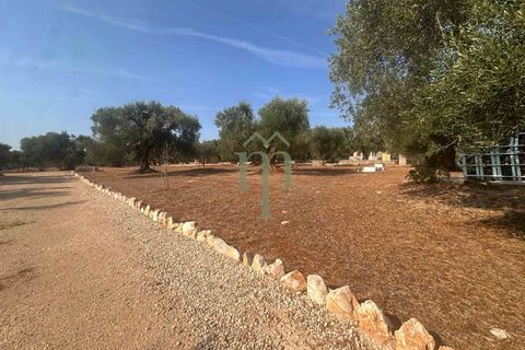 Villa i Carovigno, Brindisi, Carovigno - € 340.000 | Ref: Villa Casellini - foto 6